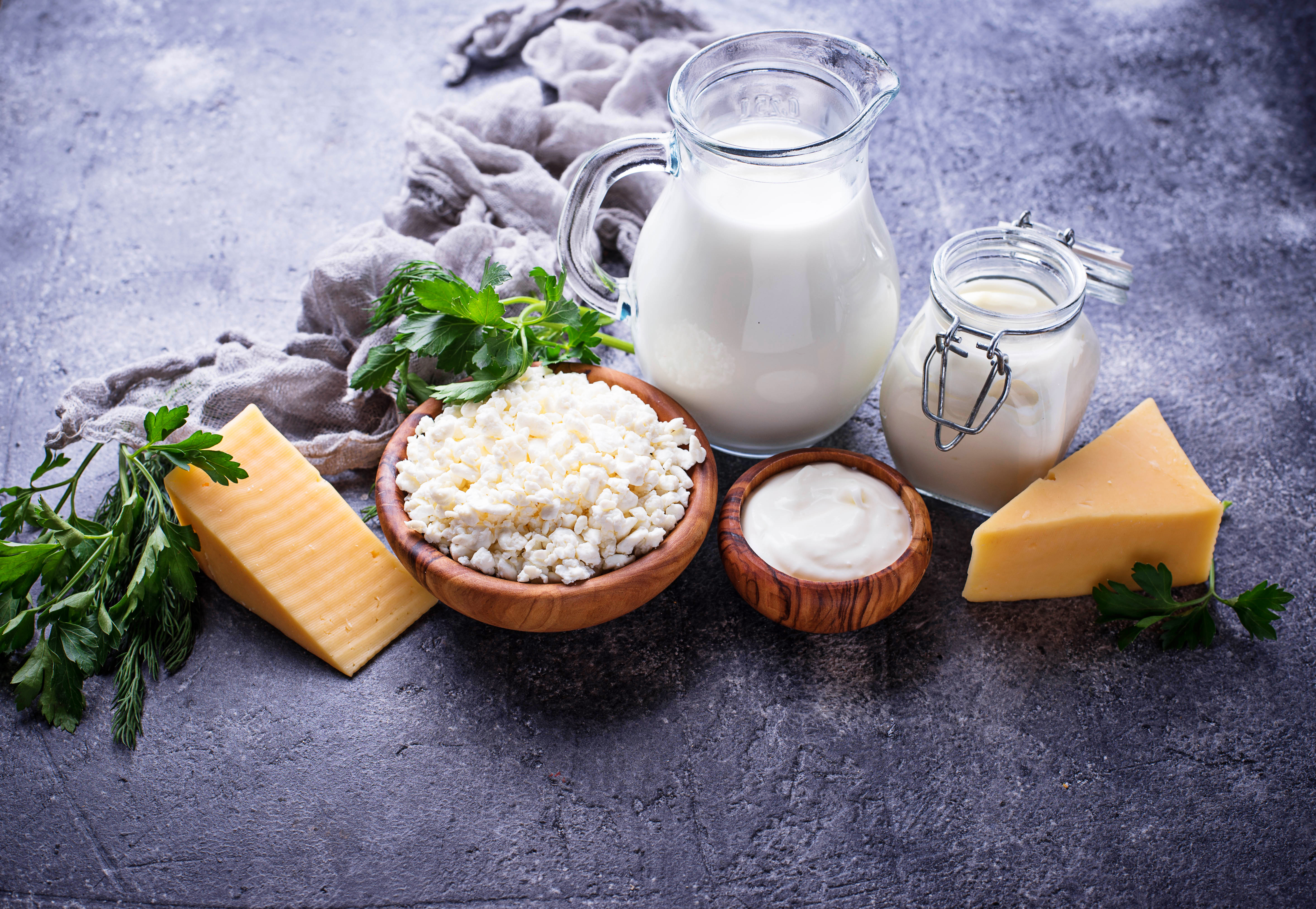 Der Internationale Tag der Milch auf neuen Wegen